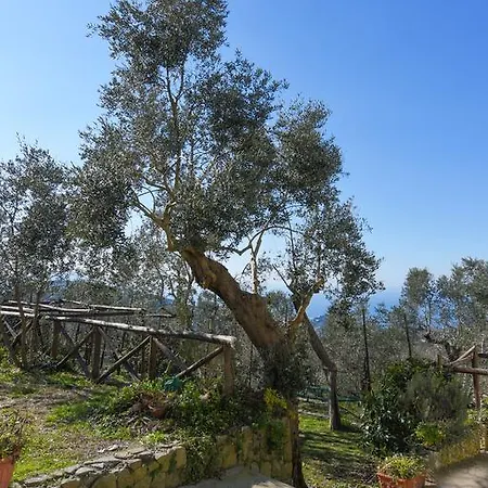Casale Staiano Holiday home *